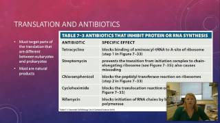 B204: Chapter 7 Part 2