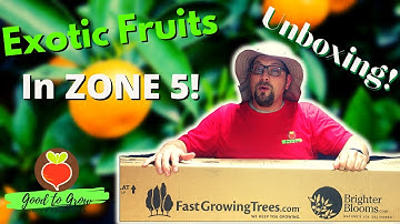 Growing Exotic Fruit Trees in Zone 5| Fast Growing Trees Fruit Tree Unboxing| Indoor Guten Yardening