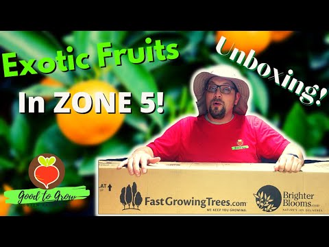 Video: Jabloně pro zahrady zóny 5: jabloně, které rostou v zóně 5