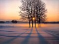 C la neve nei miei ricordi  paolo buonvino.