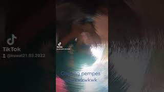 Adelia Goyang Pempes Wkwkwkwkwk