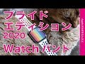＜新製品＞NIKEスポーツバンド「プライドエディション」Apple Watch純正取り替えバンド新色・2020文字盤も設定してしてみました！