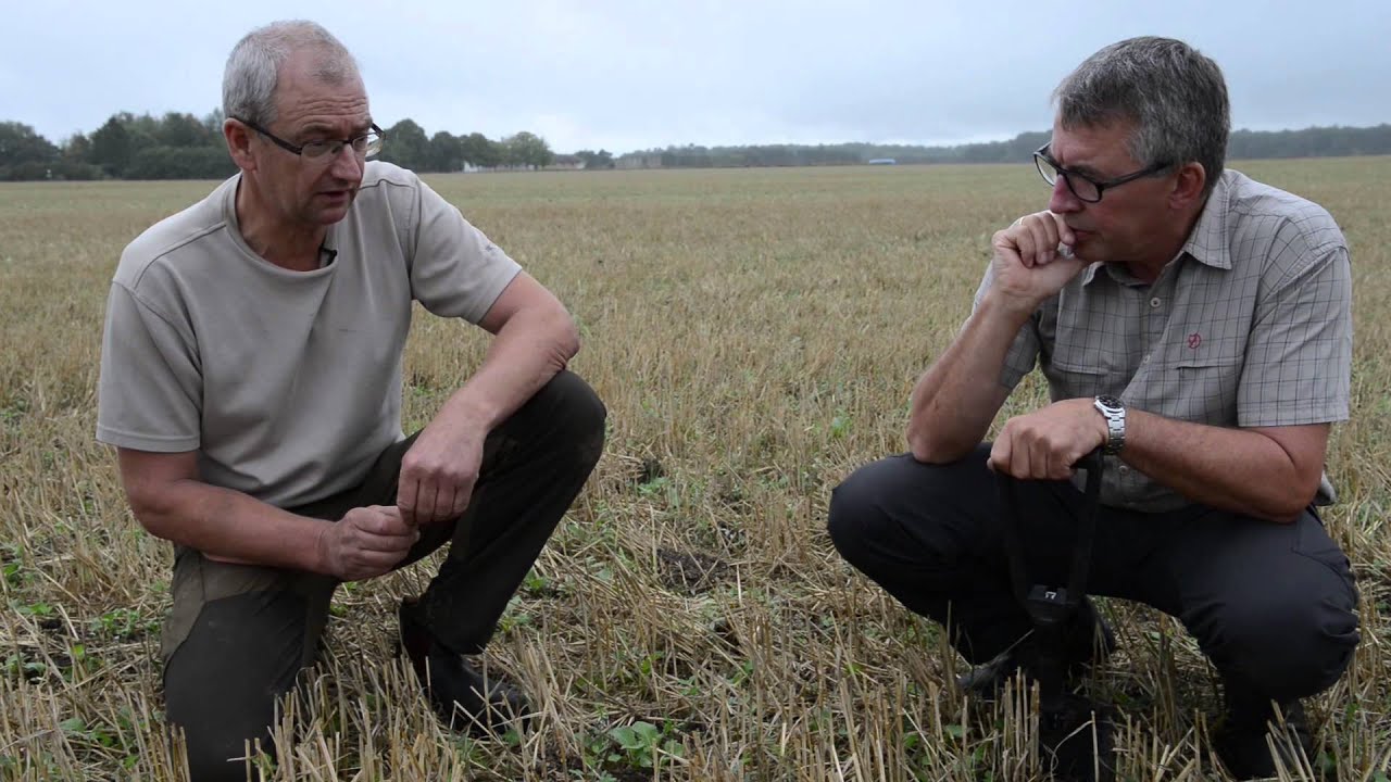Søren Ilsøe om efterafgrøder og reduceret jordbearbejdning