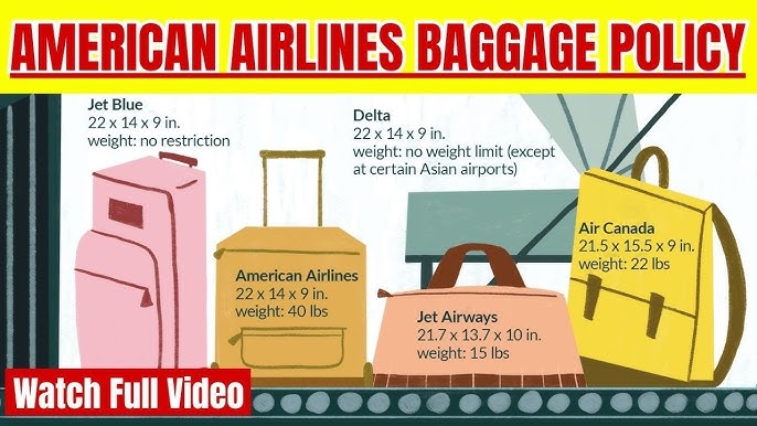 American Airlines Checked Bag