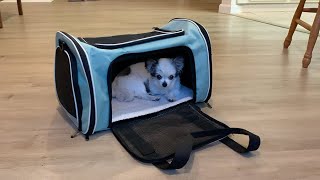 Soft-Sided Cat & Dog Pet Carrier Bag Review | Airline-Approved Travel Tote for Small Pets screenshot 3