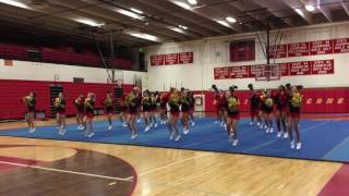 Skyline Cheer Team 2016