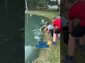 Cesur olan çocuk korkusuzca balığı yakalıyor. #çocuk #cesur #balık