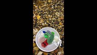 🧨Live Stream 🧨 2026-09-21 21:42:59