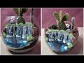 DIY Terrarium with waterfalls / Waterfall and cactus terrarium