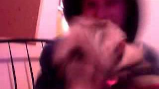 Capture 20110725 3