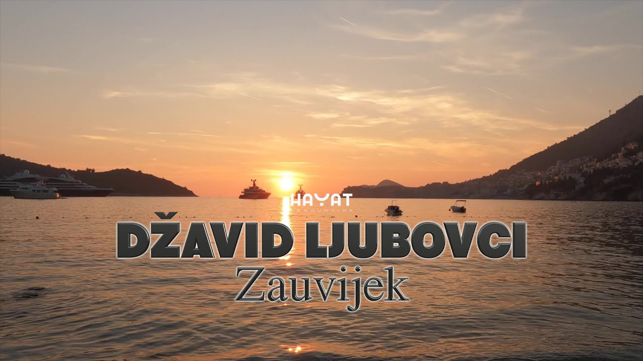 DŽAVID LJUBOVCI - Zauvijek [Official Video 2023]