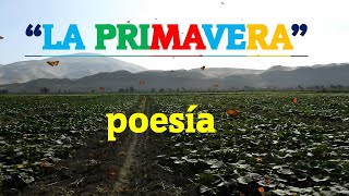 poetry for the day of spring
