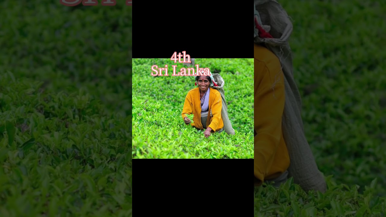 //top 5 country which is major producer of tea ☕//