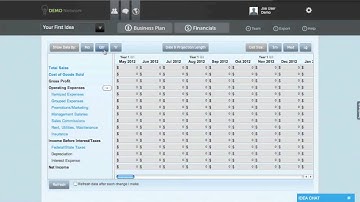 Profit & Loss Statement - The Idea Startup Tutorial