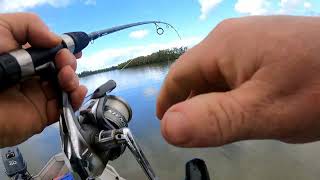 Testing the new and soon to be released UV Mussel Scent from Dizzy Scent on shut down Bream.