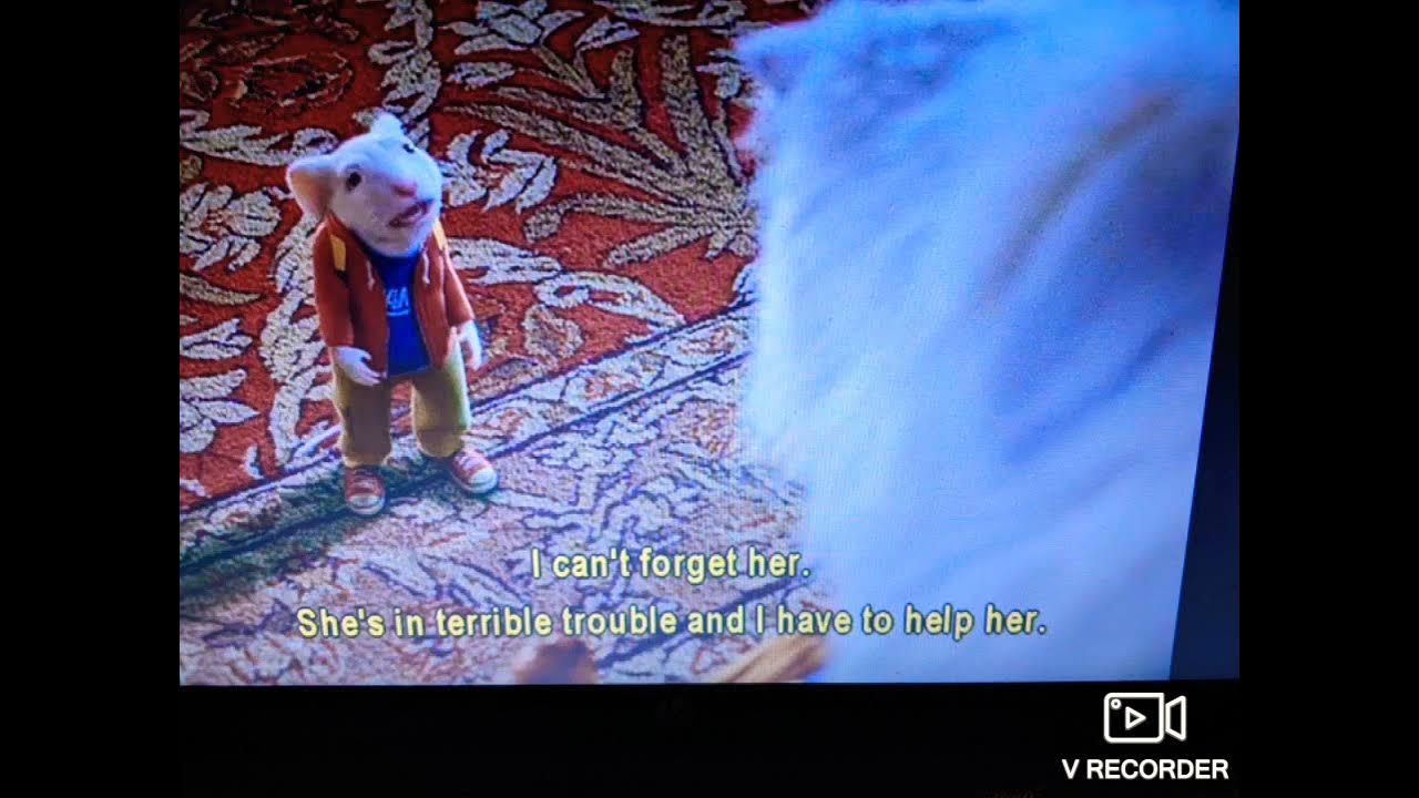 Stuart and snowball YouTube