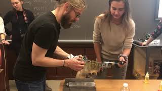 MEAM 201 Engine Testing Day