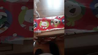 Opening Christmas gifts pt.3