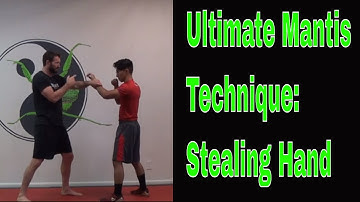 Mantis Technique: Stealing Hand