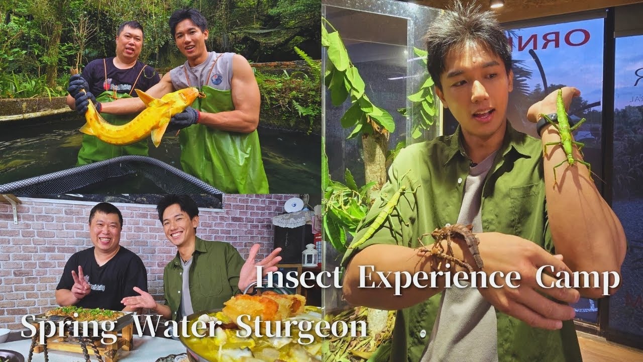 【Miaoli│Zhuolan】EP17 part.2/4｜Insect Experience Camp X Spring Water Sturgeon｜Linking368Taiwan