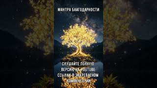 Главный секрет богатства. Твои деньги умножаются прямо сейчас. Частота 963 Гц | Gratitude #shorts