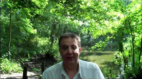 Software Design and Development - P2 Overview