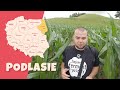 #1 Polska na Fazie - PODLASIE