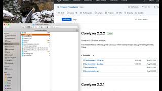 Installing and Launching Corelyzer on Mac