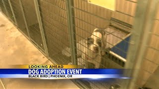 FOTAS hosting dog adoption event this month