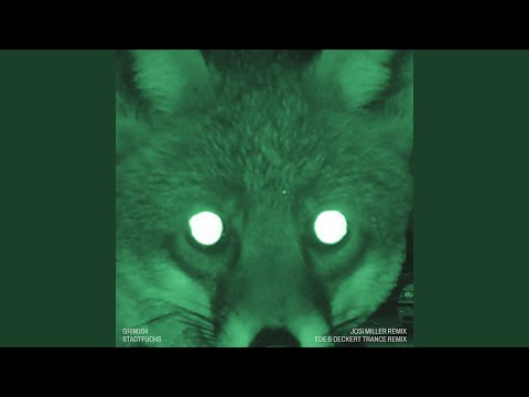Stadtfuchs (Josi Miller Remix)