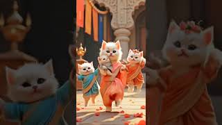 Cute Cat Kitten Funny Dance In Public Place Cat Videos