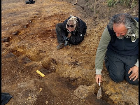 Video: Om Hvordan Arkæologiske Fund 