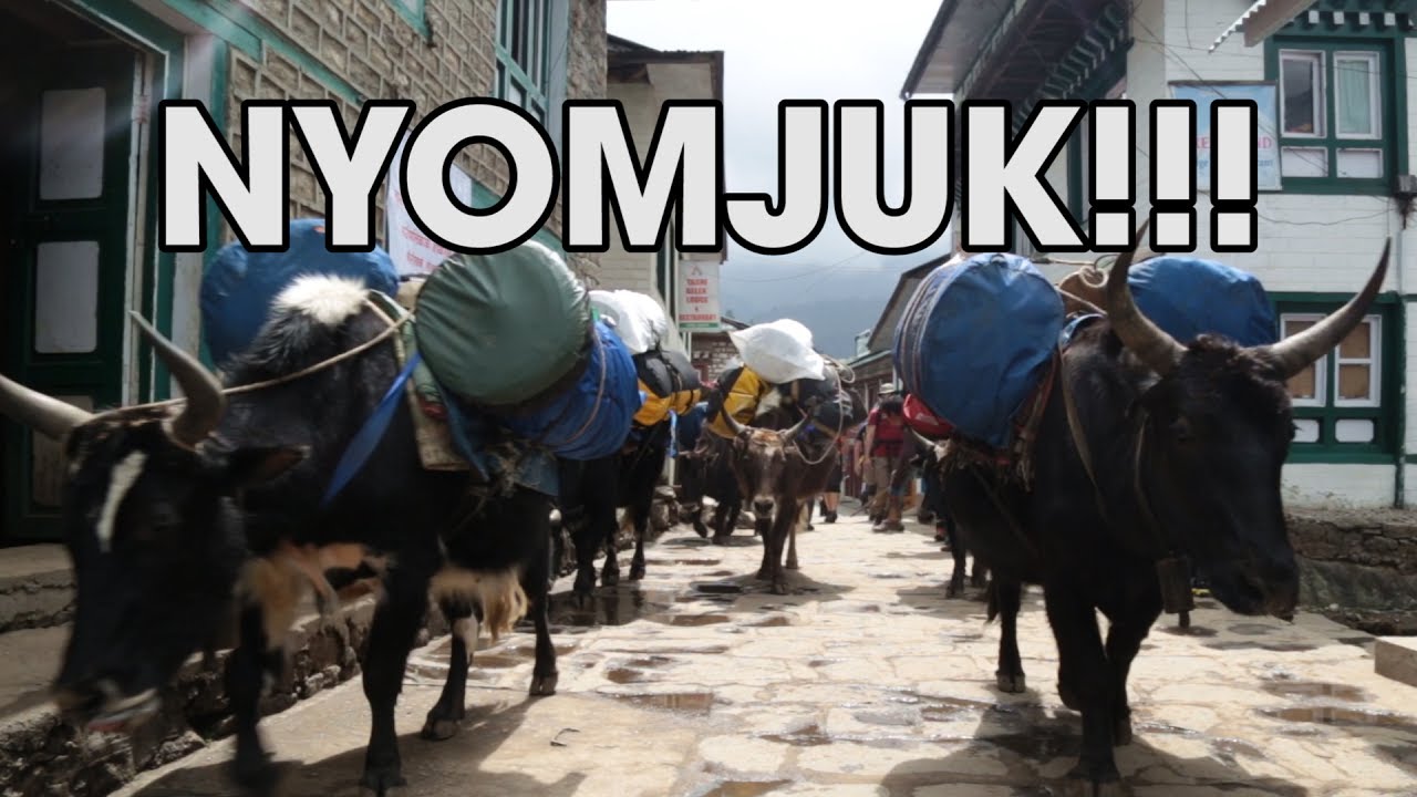 Irány az EVEREST!!! | Nepál #3