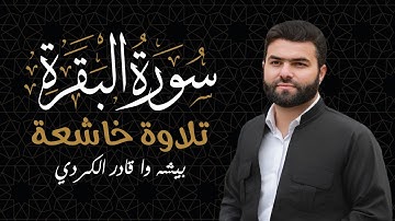 سورة البقرة - تلاوة خاشعة 😌 للشيخ بيشه وا قادر الكردي | Sourate Al Baqarah - Peshawa Qadir Al Kurdi