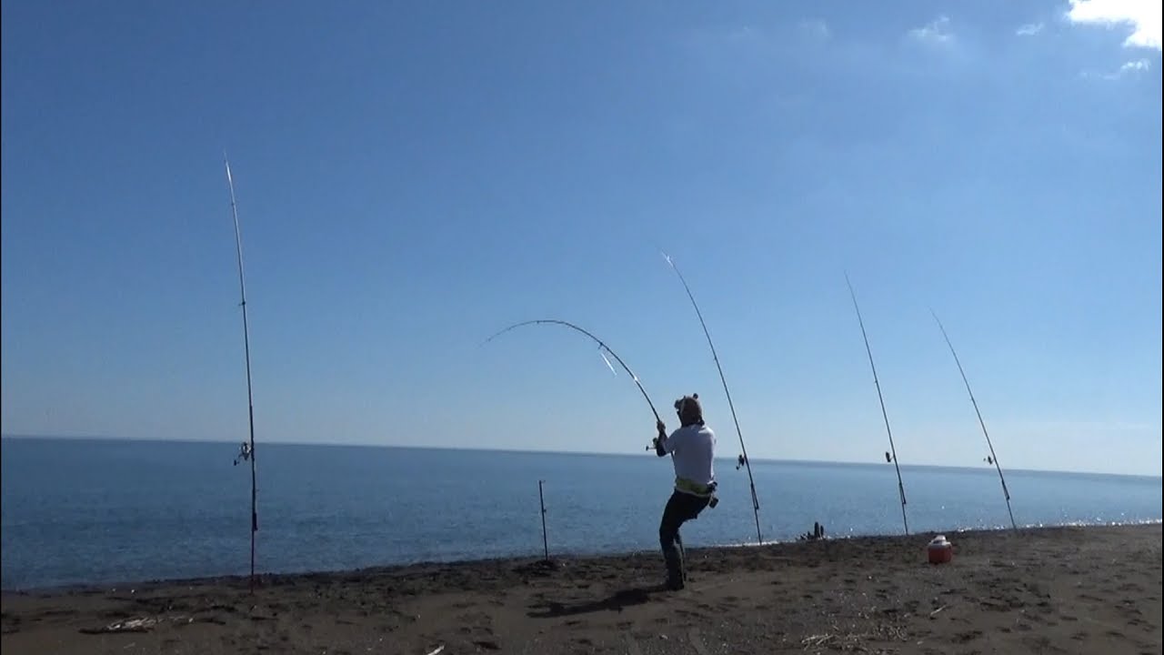 これぞ北海道！サーフからとてつもない重量の魚を釣る