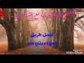 تعليم اللغة التركية بطريقة سلسة مع الموسيقى En Güzel Yol 