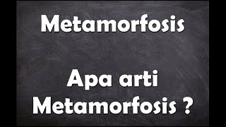 Apa arti kata Metamorfosis 