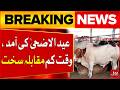 Eid Ul Adha Preparations In Full Swing | Mandi Season Begins Nationwide | BOL News