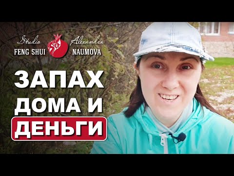 Как запах дома влияет на деньги | Фен-Шуй на Каждый День 6 | Студия Фэн-Шуй Александры Наумовой