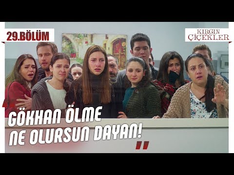 Cemre’nin acı günü! - Kırgın Çiçekler 29.Bölüm