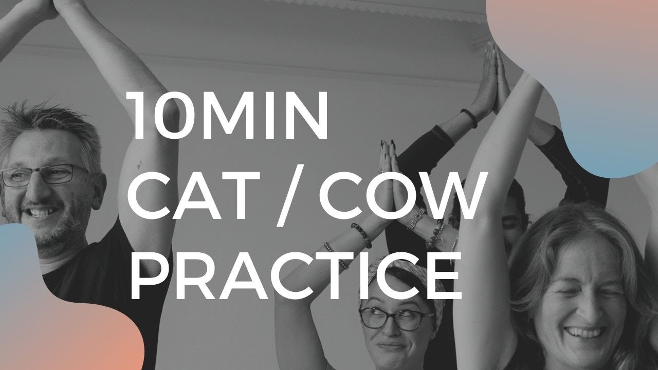 10min Mini Cat/Cow Yoga Practice with Anna - Cornwall Yoga Centre