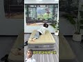 pinki or chcha chachi #home #sofa #household #homedecor #viralvideo #shortfeedshort #youtubeshorts