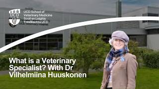 Inside Veterinary Anaesthesia At Ucd Veterinary Hospital