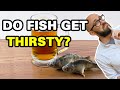 Do Fish Get Thirsty?