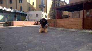 WP 20140317 14 46 59 Pro