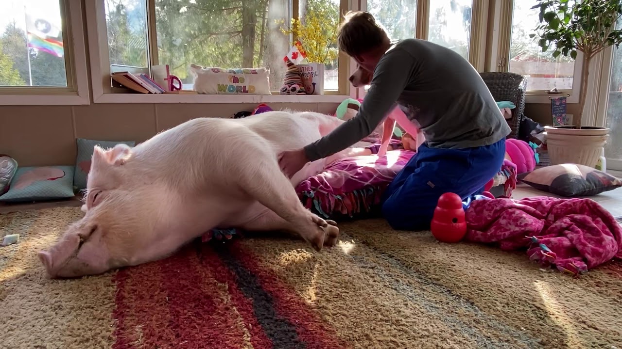 Best home massage techniques. YouTube