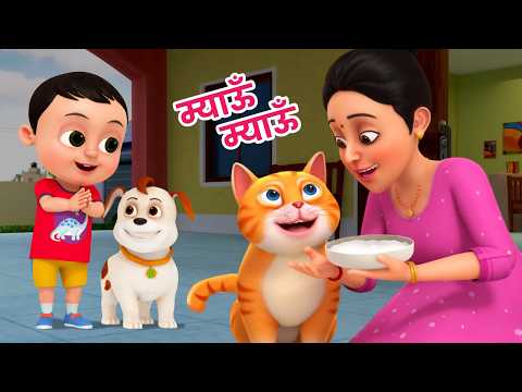 म्याऊं म्याऊं बिल्ली करती | Meow Meow Billi Karti + More Popular Kids Rhymes| Ding Dong Bells Kids