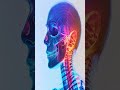 AI Replaces Airport Baggage Screening — Shocking Speed