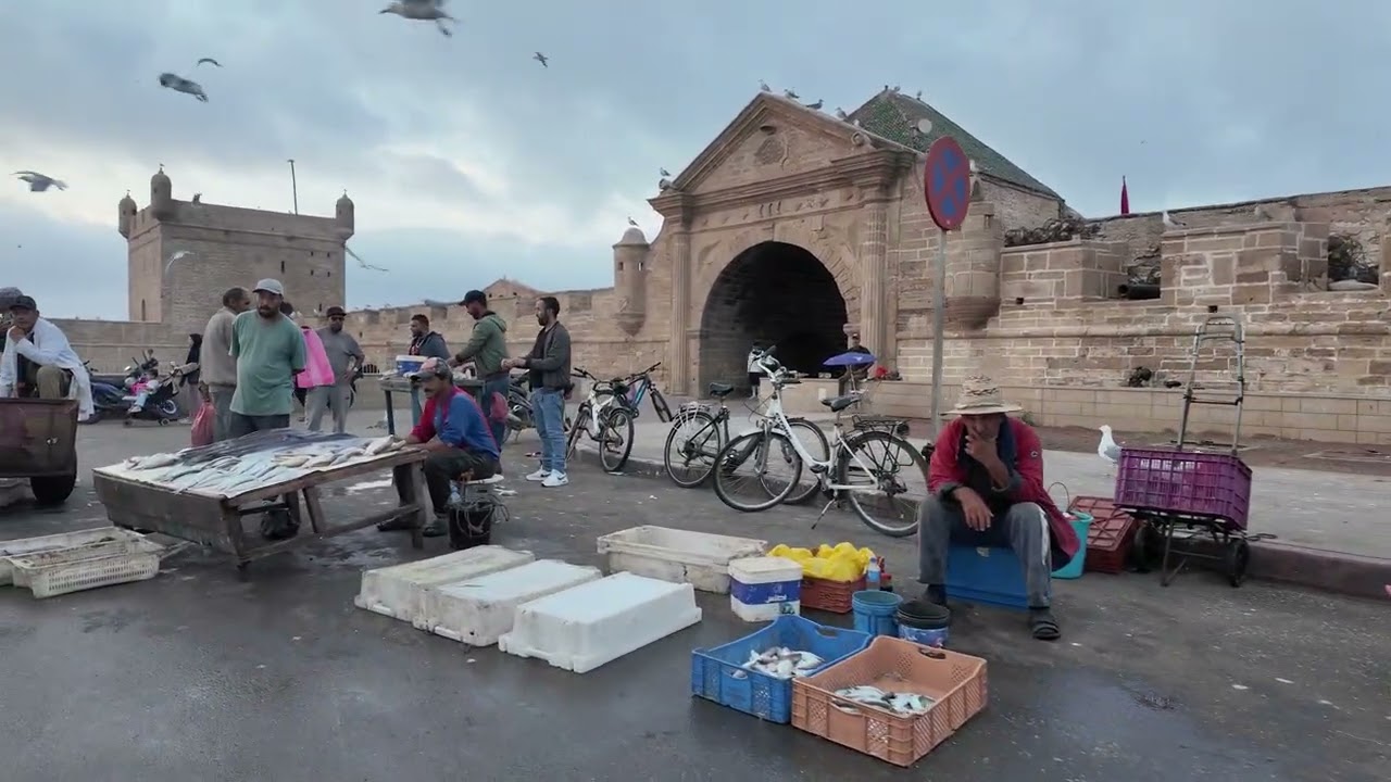Viaggio in Marocco. Essaouira