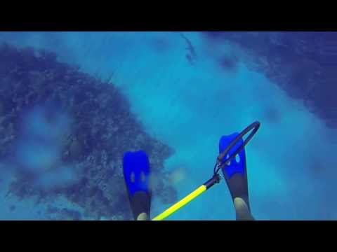 Shark Attack 3-13-2014 in the CAYMAN ISLANDS